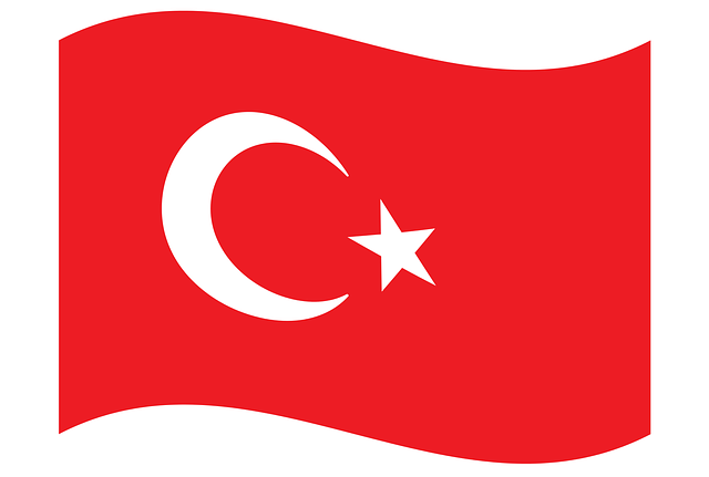 Türkçe